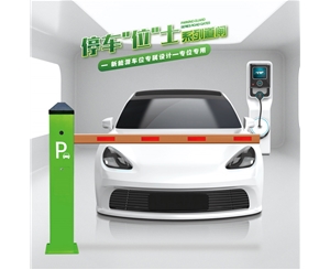 胶南RG-CW系列车位小道闸